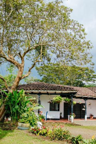 Lodge Hotel K�acara Campestre