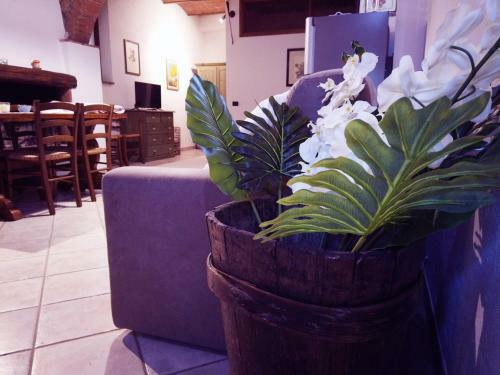 Apartamento La Loggia Di Giulia