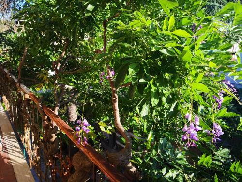 Bed & Breakfast Zia Chiarina