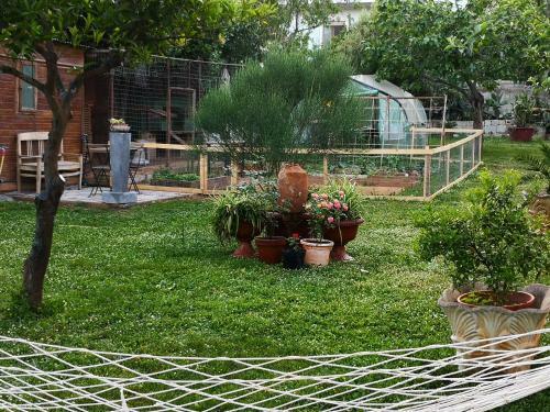 Bed & Breakfast Zia Chiarina