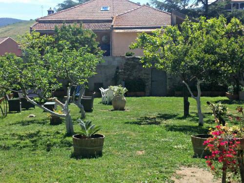 Bed & Breakfast Zia Chiarina