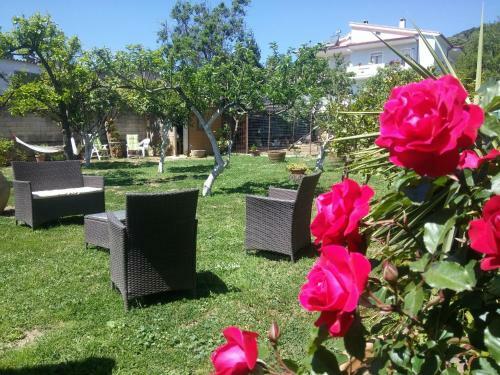Bed & Breakfast Zia Chiarina
