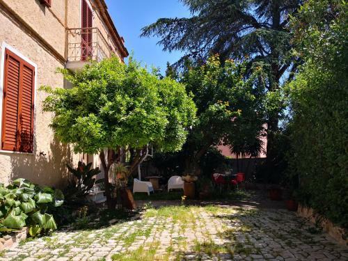 Bed & Breakfast Zia Chiarina