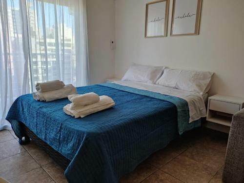 Apartamento Monoambiente En Zona De Rio, Parques Y Bares.