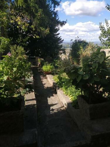 Apartamento Orto Di Emma