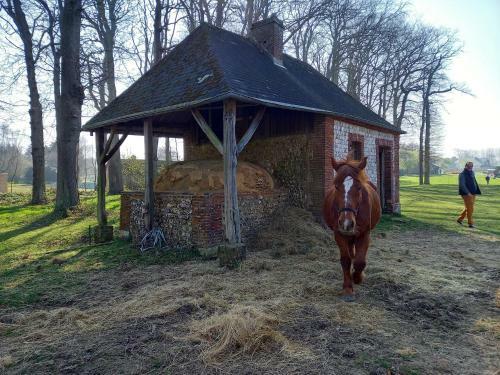 Bed & Breakfast Chambres Et Gites D'�tretat