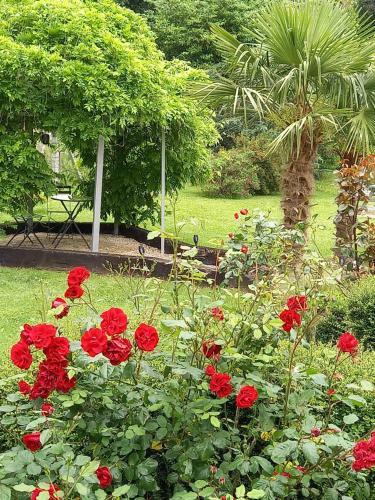Bed & Breakfast Chambres Et Gites D'�tretat