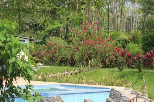Hotel Villa Amanda Resort