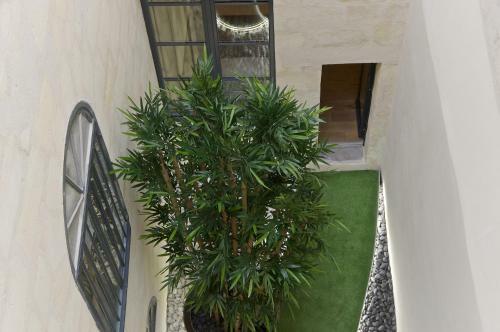 Apartamentos Hangar