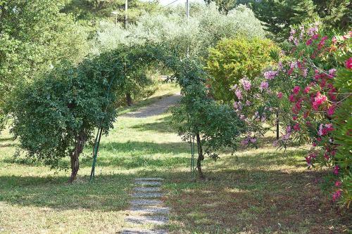 Villa Podere L'ulivo