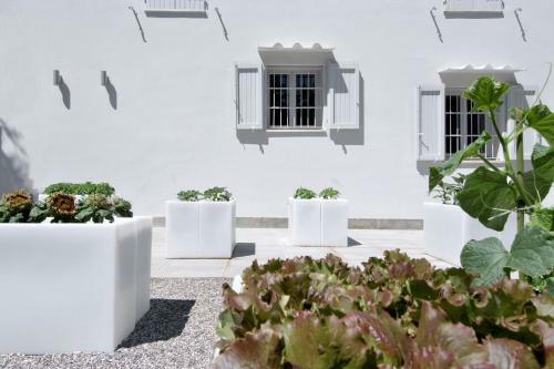 Hostal San Goro 1