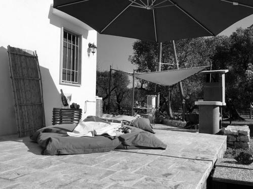 Chateaux Des Trulli