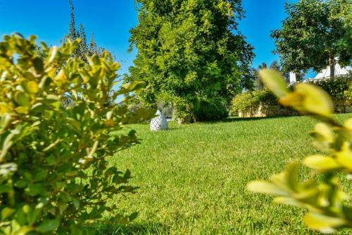 Apartamento Trullo Dei Sogni Con Jacuzzi