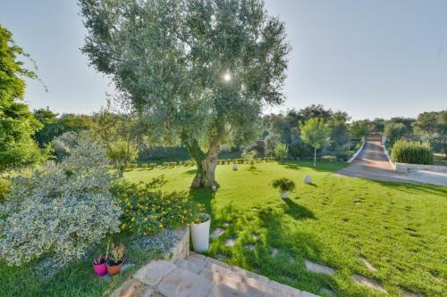 Apartamento Trullo Dei Sogni Con Jacuzzi