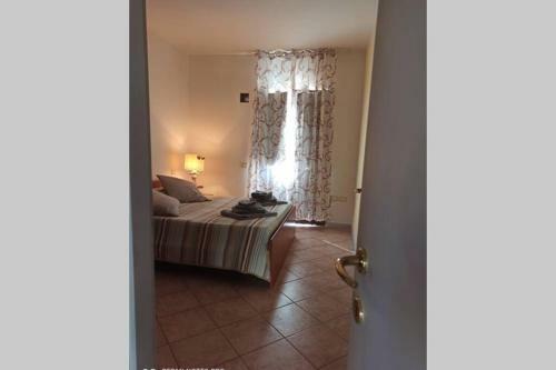 Ginestra 23