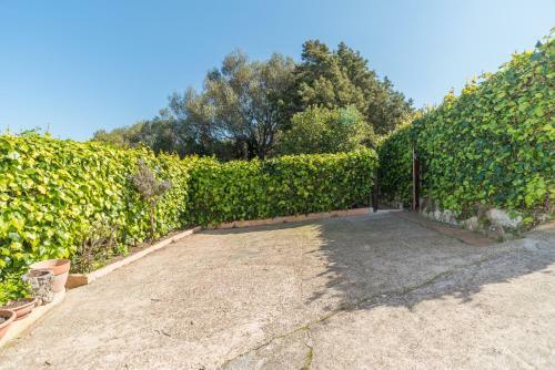 Apartamento Appartamento Di Molly