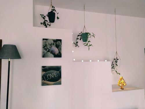 Apartamento Casa Violina