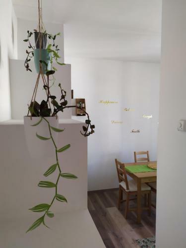Apartamento Casa Violina