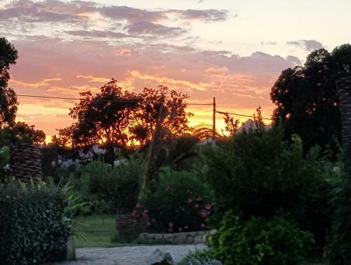 Bed & Breakfast B & B Gli Oleandri