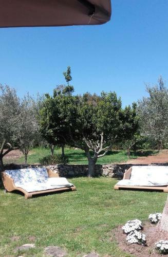 Bed & Breakfast B & B Gli Oleandri