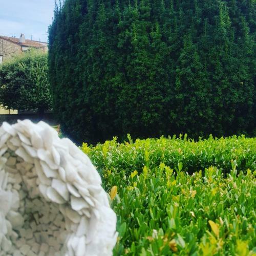 Bed & Breakfast Palazzetto Del Pittore