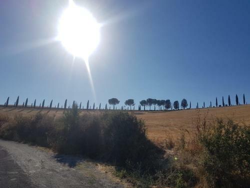 Bed & Breakfast Palazzetto Del Pittore