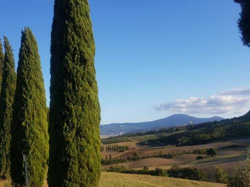 Bed & Breakfast Palazzetto Del Pittore