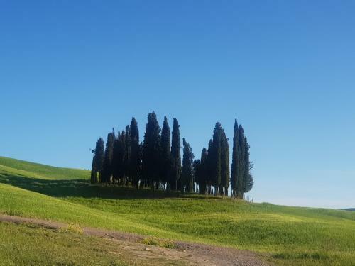 Bed & Breakfast Palazzetto Del Pittore