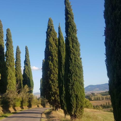 Apartamento Dimora In Val D'orcia