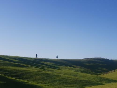 Apartamento Dimora In Val D'orcia