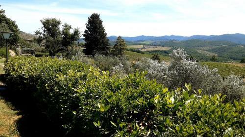 Villa Celle Di Lecchi Nel Chianti