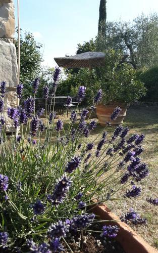 Villa Celle Di Lecchi Nel Chianti