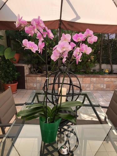B&B Incanto