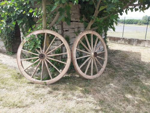 Bed & Breakfast La Fiora
