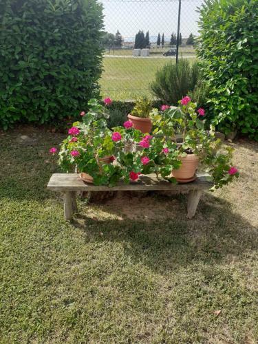 Bed & Breakfast La Fiora
