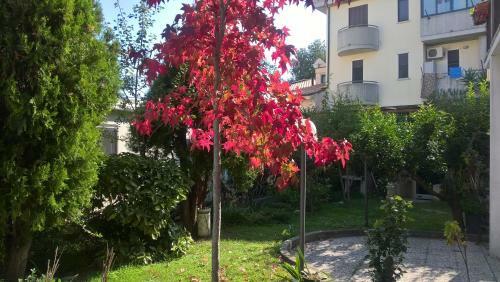 Apartamento Apdf Appartamento Con Giardino