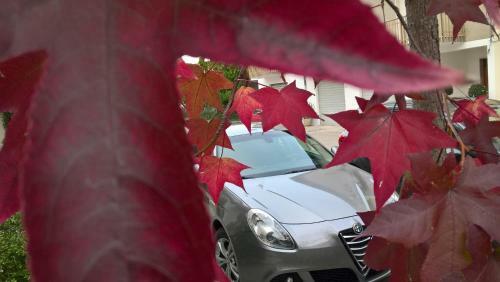 Apartamento Apdf Appartamento Con Giardino
