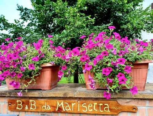 Da Marisetta A San Severino Marche