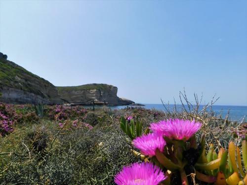 Apartamento Manderley-case Sul Mare