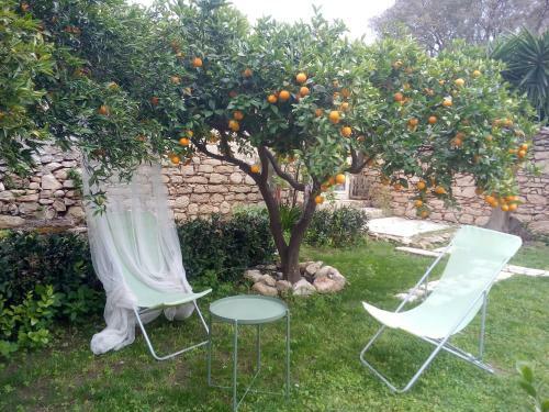 Bed & Breakfast Giardino Farina