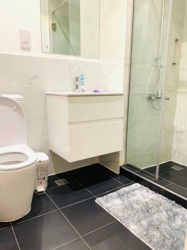 Big Luxury Apartment At Embassy Gardens
