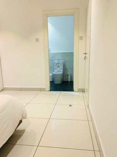 Big Luxury Apartment At Embassy Gardens