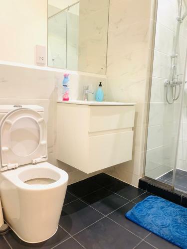 Big Luxury Apartment At Embassy Gardens