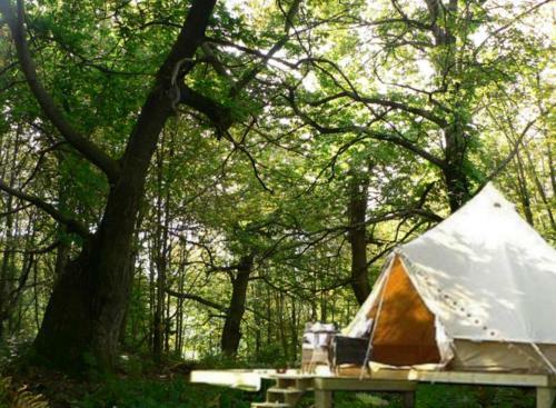 Podere Di Maggio - Canvas Tent Chestnut