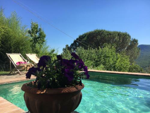 Podere Di Maggio - Canvas Tent Chestnut