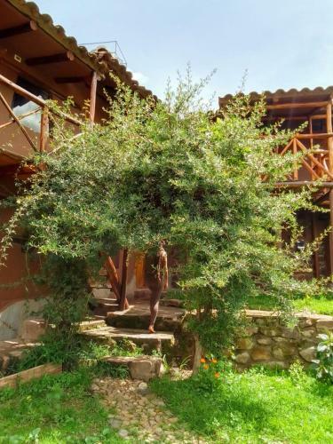 Hostal Casa Astral Guesthouse