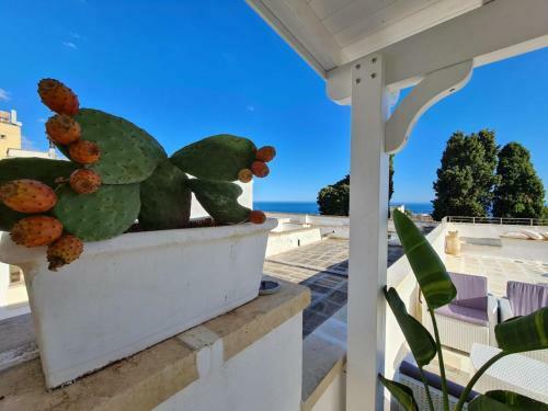 Apartamento Locazione Turistica La Chicca