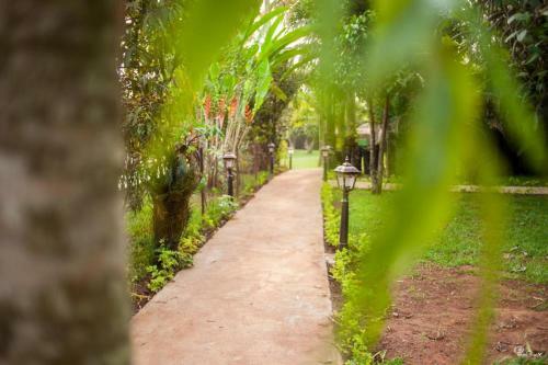 Hotel Village Noah Cmr