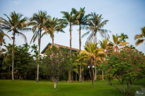 Hotel Village Noah Cmr