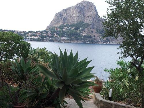 Apartamento Appartamento La Caletta